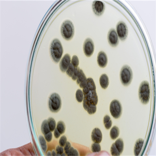 信阳莱耀生物科技实验室