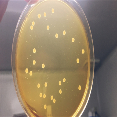 莱耀生物科技实验室实景