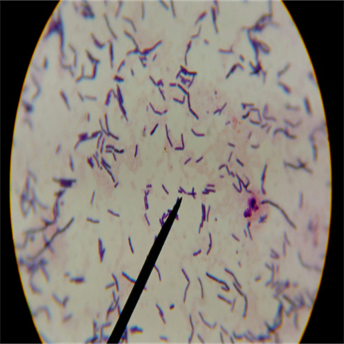 信阳莱耀生物科技有限公司实验室