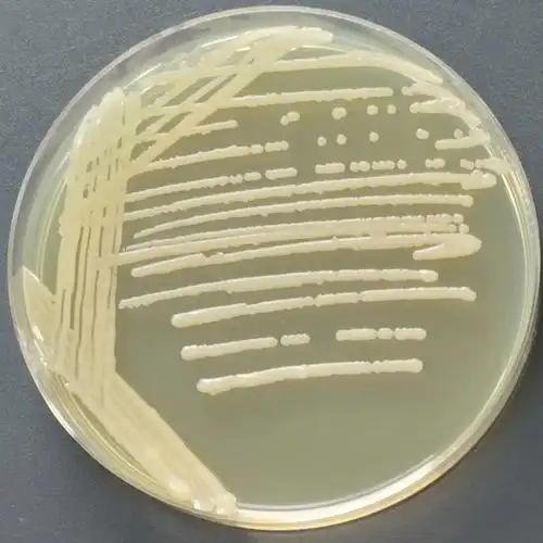 信阳莱耀生物科技有限公司实验室