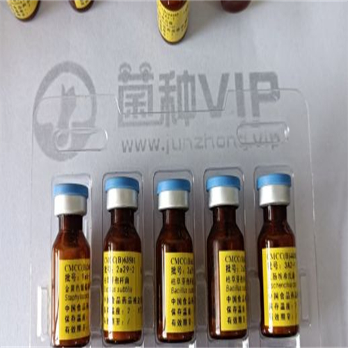 莱耀生物科技实验室